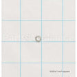 WS02X10080 GE Spring Washer