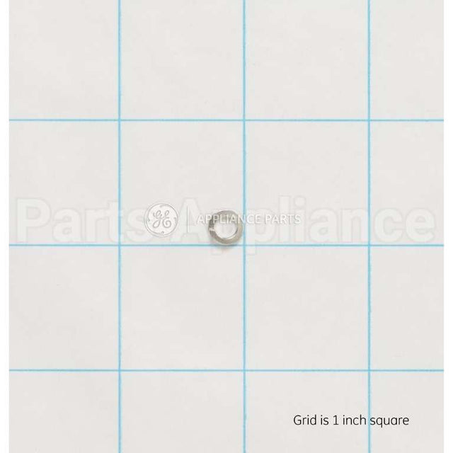 WS02X10080 GE Spring Washer