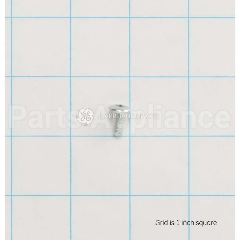 WS02X10083 GE Scr 8-18 Ab Pnt20 7/16 S