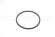 WS02X22023 GE O Ring