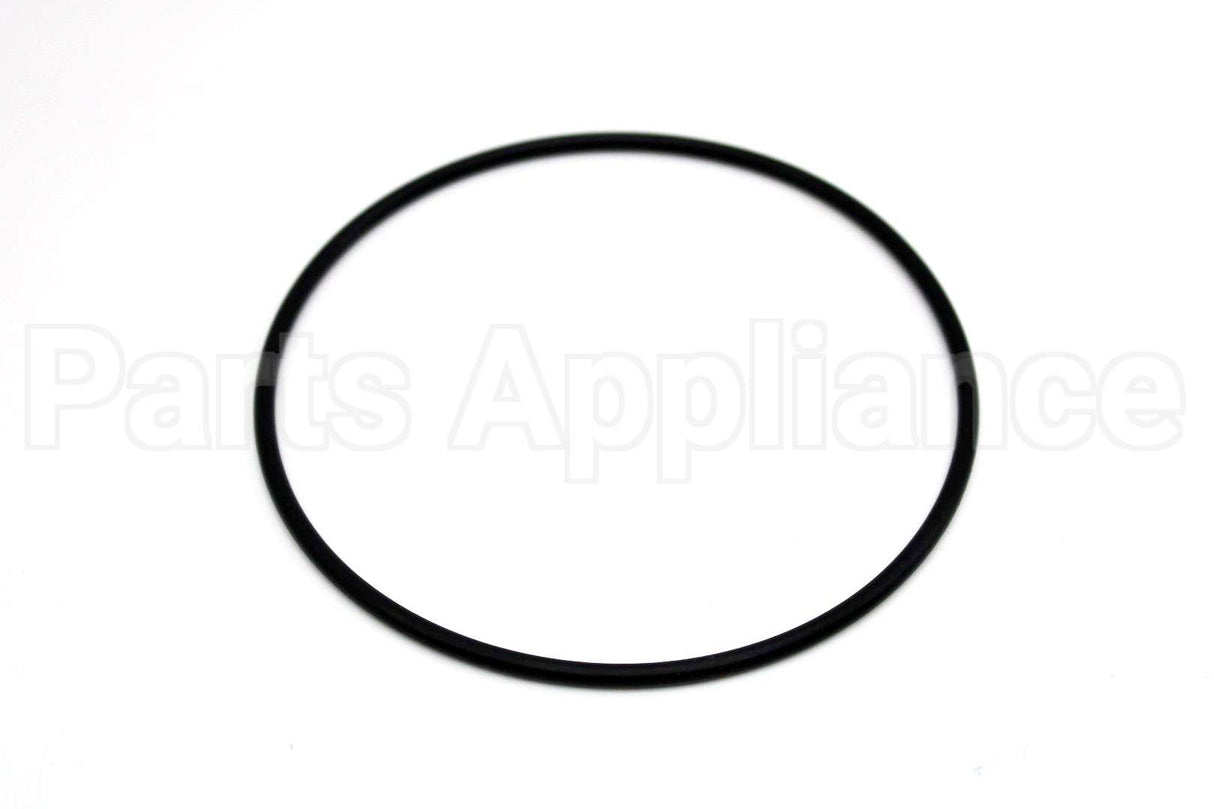 WS02X22023 GE O Ring