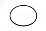 WS02X22023 GE O Ring