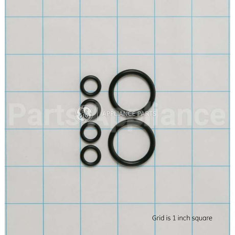 WS03X10046 GE O-Ring Kit(2Lg 4Sm)