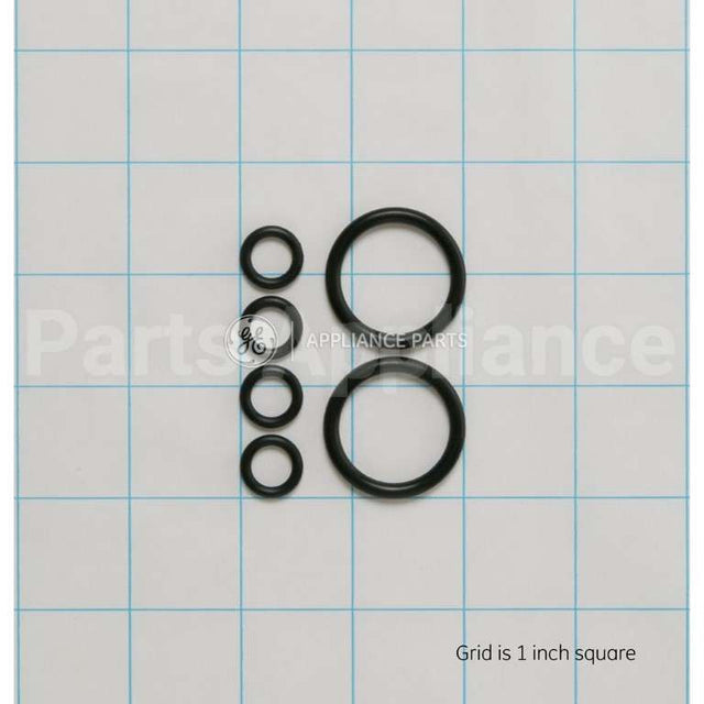 WS03X10046 GE O-Ring Kit(2Lg 4Sm)