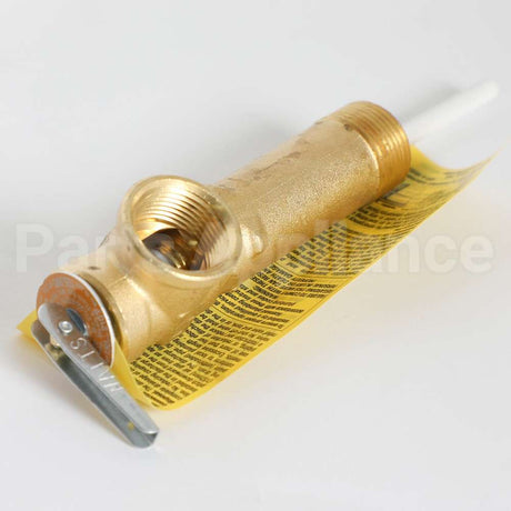 WS06X21923 GE T-P Valve