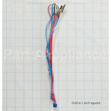 WS17X10011 GE Sensor Asm (T3A/T3B/T4)