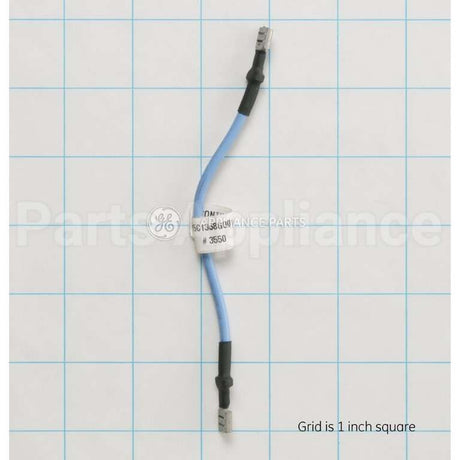 WS19X10036 GE Wire (E-E)