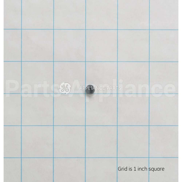 WS22X10021 GE Plug Fill Flow 3 Gpm