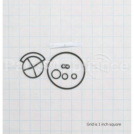 WS35X10005 GE Seal Kit