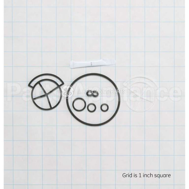 WS35X10005 GE Seal Kit