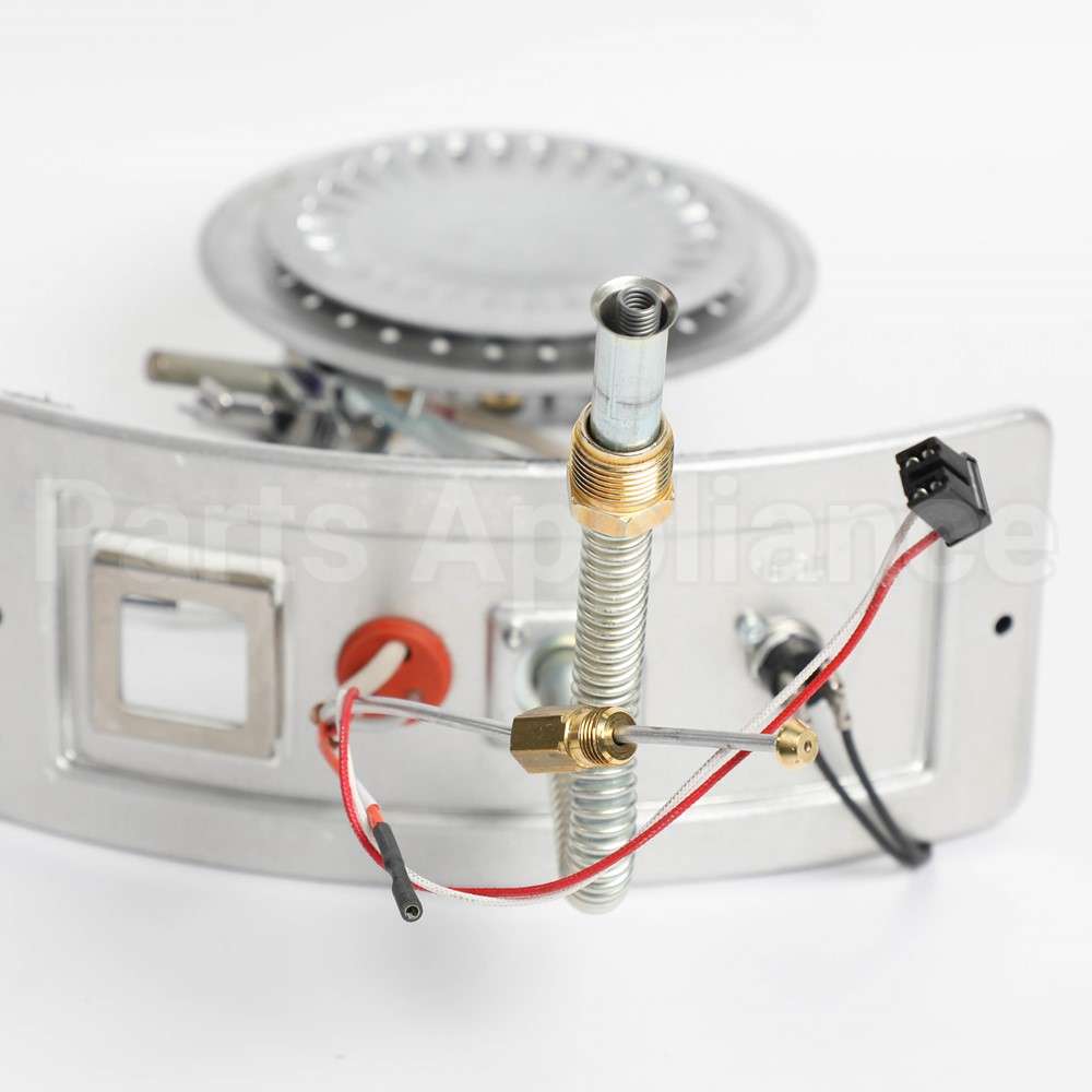 WS50X23186 GE Burner Asm (16.5 -32- Atm - Ng)