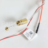 WS52X23202 GE Pilot Asm - Longlp