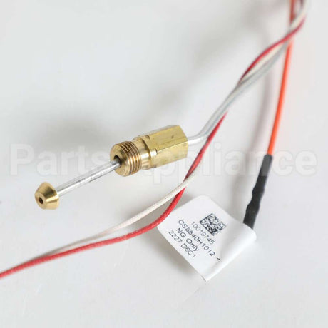 WS52X23202 GE Pilot Asm - Longlp