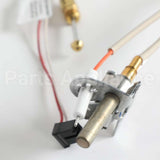 WS52X23202 GE Pilot Asm - Longlp