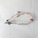 WS52X23202 GE Pilot Asm - Longlp