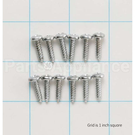 WZ4X245D GE Screw-Pkg 12