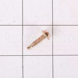 WZ5X246 GE Screw