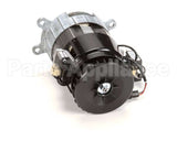 X00558 Globe Motor Replacement Kit