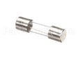 X00570 Globe Control Transformer Fuse