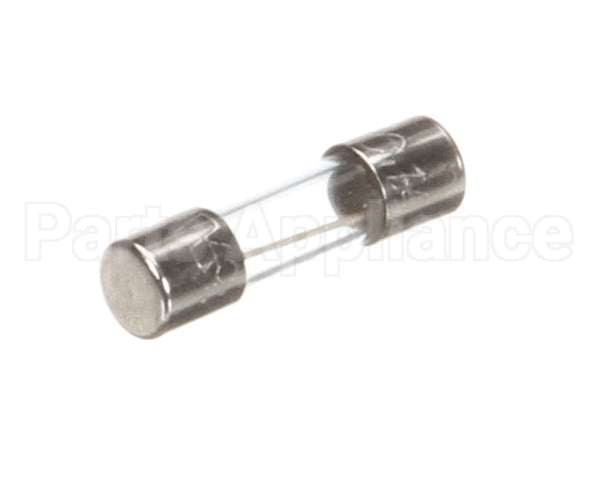 X00570 Globe Control Transformer Fuse