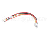 X00675-1 Globe 4 Wire Harness With Connectors
