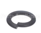 X01372 Globe Split Lock Washer (M12)