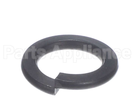 X01372 Globe Split Lock Washer (M12)