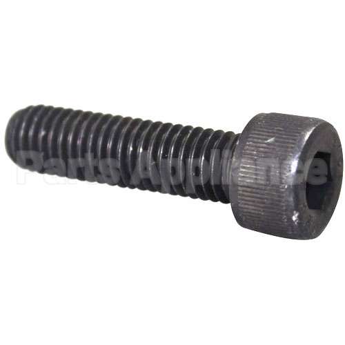 X30099 Compatible Globe Screw