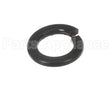 X30198 Globe Washer