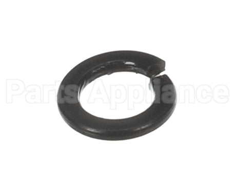 X30198 Globe Washer