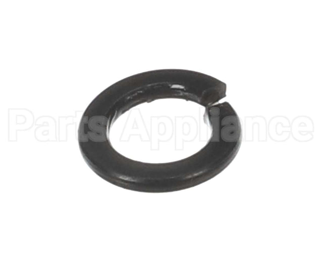 X30198 Globe Washer