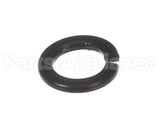 X30198 Globe Washer