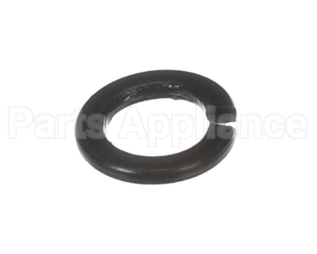 X30198 Globe Washer