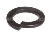 X40111A Globe Washer