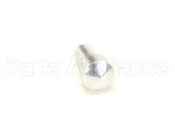 X5A09 Globe Plunger