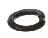 X80B02 Globe Spring Washer