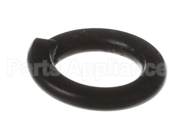 X80B02 Globe Spring Washer