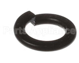 X80B02 Globe Spring Washer