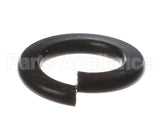 X80B02 Globe Spring Washer