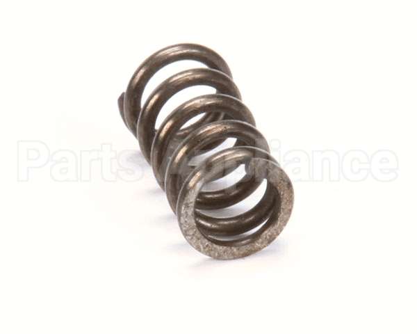 X80E20 Globe Spring