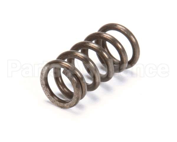 X80E20 Globe Spring