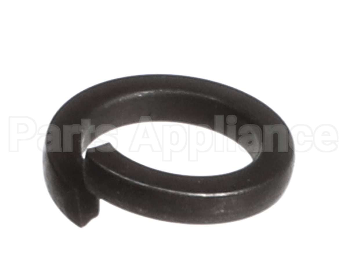 X80F24-1 Globe #10 Lock Washer