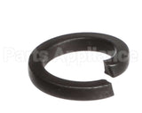 X80F24-1 Globe #10 Lock Washer