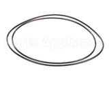 X80G05 Globe O-Ring