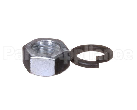 X80H49 Globe Washer