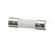 X80J22A Globe Fuse (250 Volt / 500Ma)