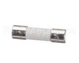 X80J22A Globe Fuse (250 Volt / 500Ma)