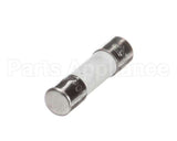 X80J22A Globe Fuse (250 Volt / 500Ma)