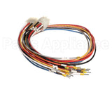 X80J24 Globe Connector
