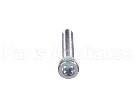 X80J36 Globe Screw